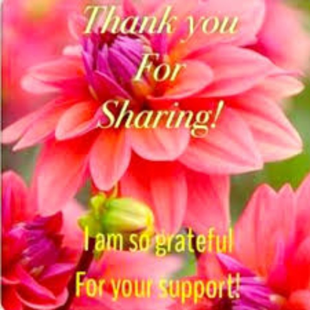 Thank You For Your Shares!